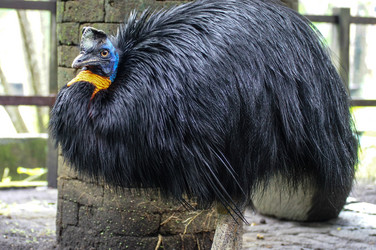 Similar image 21954694