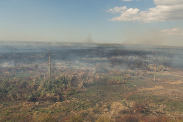 Similar image 21954695