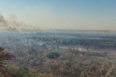 Similar image 21954696