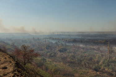 Similar image 21954698