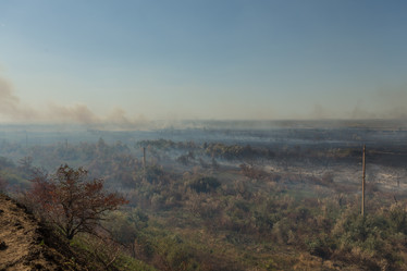 Similar image 21954699