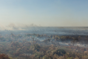 Similar image 21954701