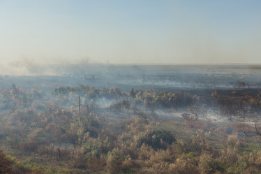 Similar image 21954702