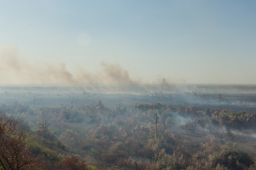 Similar image 21955114