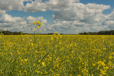 Similar image 21955117