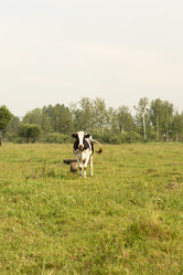 Similar image 21955257