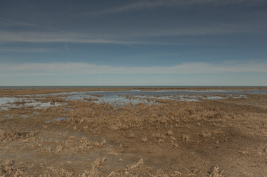 Similar image 21964953