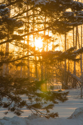 Similar image 21964958