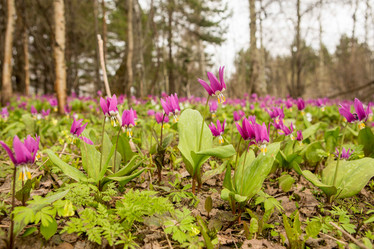 Similar image 21964965