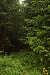 Similar image 21952698