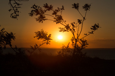 Similar image 21952781