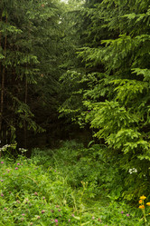 Similar image 21952782