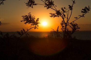 Similar image 21952883