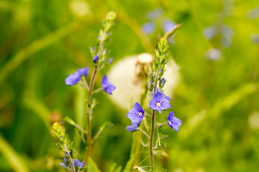 Similar image 21954228