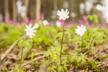 Similar image 21954229