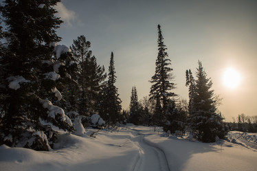 Similar image 21954231