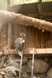 Similar image 21954238