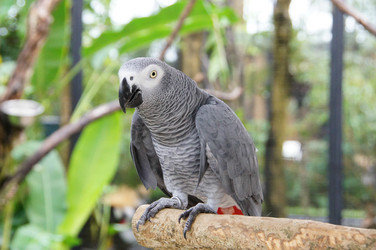 Similar image 21954239