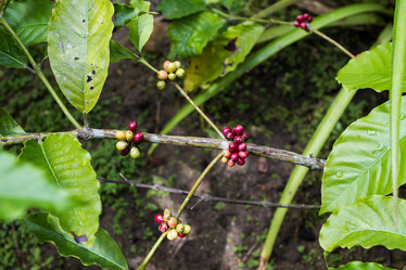 Similar image 21954453