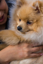 Similar image 21954454