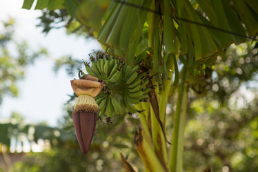 Similar image 21954455