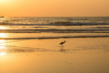 Similar image 21952891