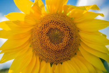 Similar image 21954460