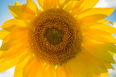 Similar image 21954461