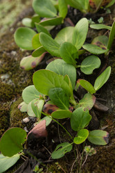 Similar image 21954706