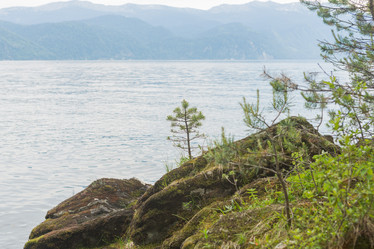 Similar image 21954708