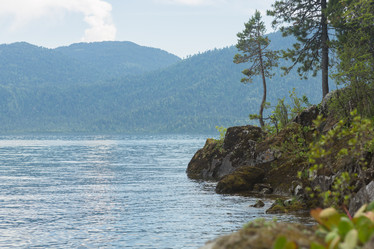 Similar image 21954712