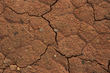 Similar image 21954713