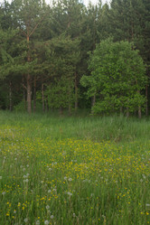 Similar image 21954715