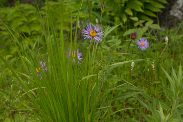 Similar image 21955125