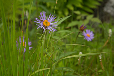 Similar image 21955275