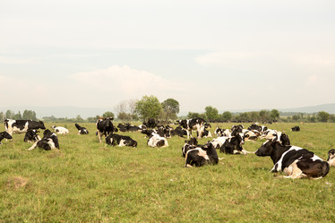 Similar image 21964974