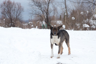 Similar image 21964977