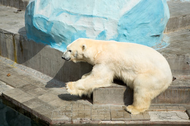 Similar image 21965301