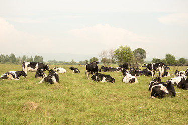 Similar image 21952899