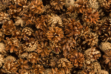 Similar image 21954013