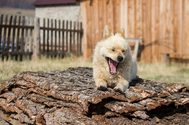 Similar image 21954024