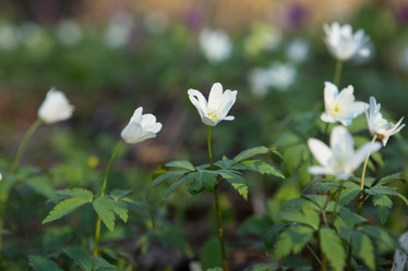 Similar image 21954025