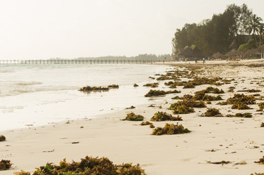 Similar image 21954244