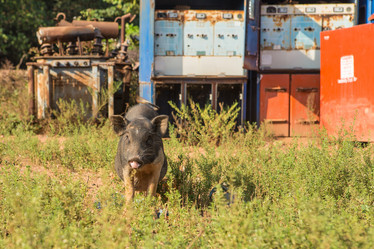 Similar image 21954245