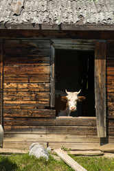 Similar image 21954248