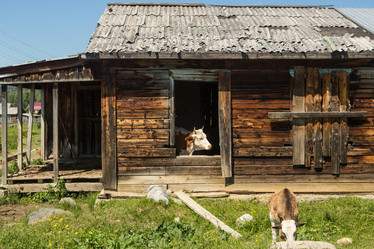 Similar image 21954465