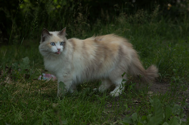 Similar image 21954469