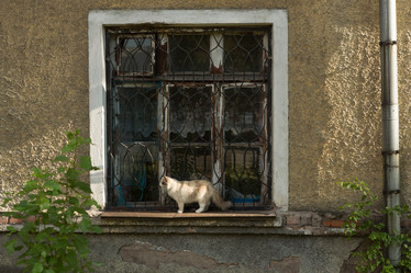 Similar image 21954470