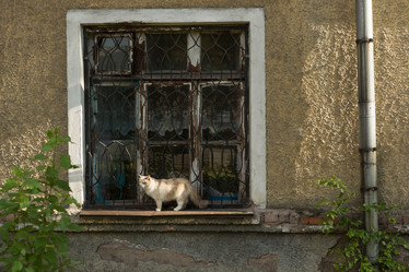 Similar image 21954471