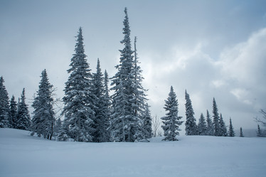 Similar image 21954721